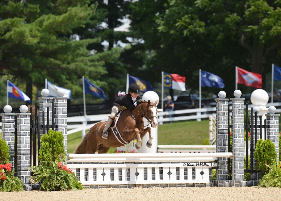 Farnley Crown Prince Welsh Pony Hunter